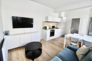 Furnished apartment Lille - Queen - Lille