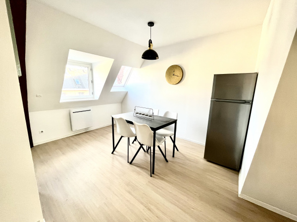 Furnished apartment Lille - Dalby - Lille 4
